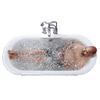 Back To Nature Sticker by Bart Scholtissen