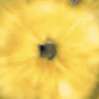 Jankeyframes GIF