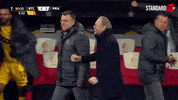 Celebration Team GIF by Standard de Liège