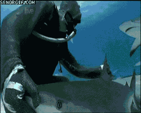 video games shark GIF by Cheezburger