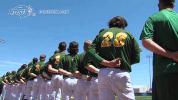 north dakota state baseball GIF by NDSU Athletics