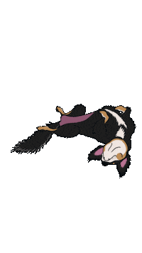 Dog Oreo Sticker