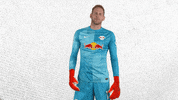 Save No Problem GIF by RB Leipzig