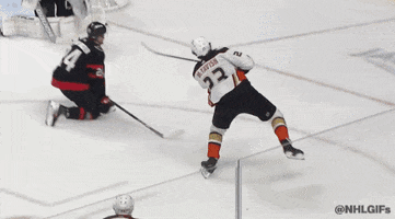 Excited Anaheim Ducks GIF by NHL