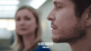 the resident fox GIF