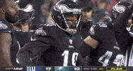 2019 Nfl Football GIF by NFL