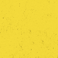 SVLeibenstadt1946 svl 1946 gelbschwarz dorfverein GIF