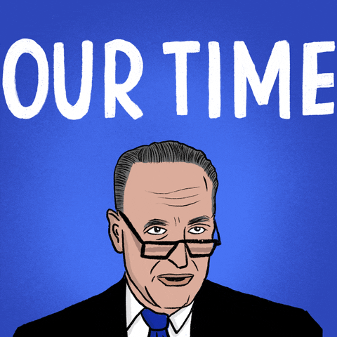 Senate Race Democrat GIF by Creative Courage