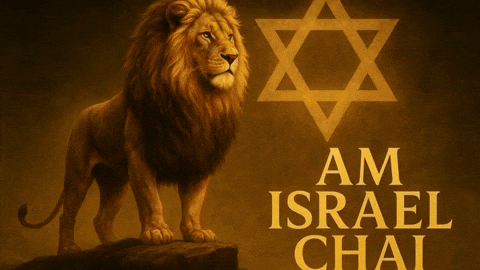 תל אביב Israel GIF