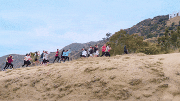 Excited The Amazing Race GIF by CBS