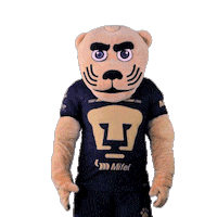 Football Sport Sticker by Pumas MX