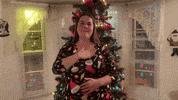 Merry Christmas Holiday GIF