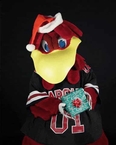 Christmas Winter GIF by University of South Carolina