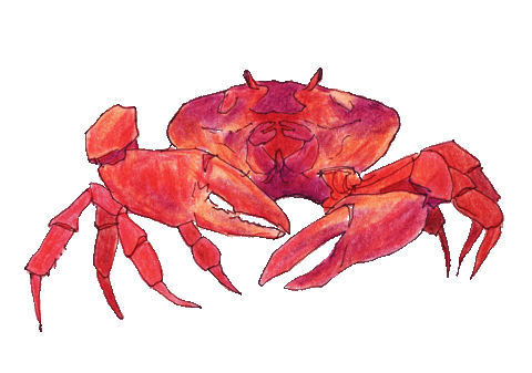 Crab Sticker