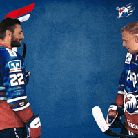 Wolf Plachta GIF by Adler Mannheim