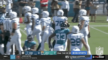 National Football League GIF by NFL