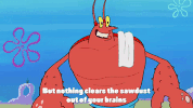 season 9 episode 13 GIF by SpongeBob SquarePants