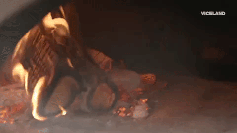 viceland GIF by F*CK, THAT'S DELICIOUS