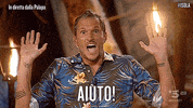 help me alvin GIF by Isola dei Famosi