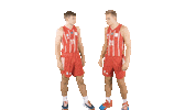 Fc Bayern Handshake Sticker by FC Bayern Basketball