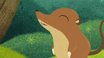 #puffinrock #puffin #rock #mossy #pygmy #shrew #food #hungry GIF by Puffin Rock
