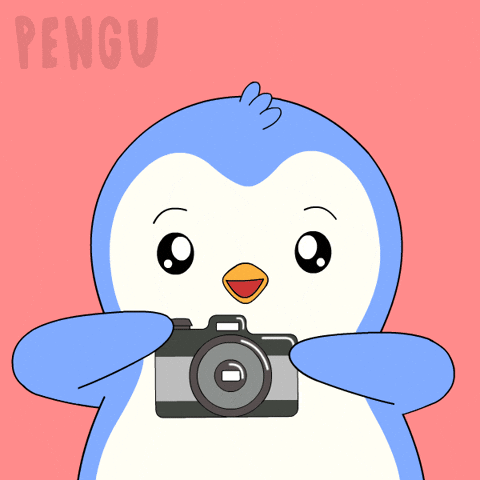 Travel Smile GIF by Pudgy Penguins