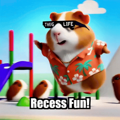 Guinea Pig Play GIF by Guinea Gambino