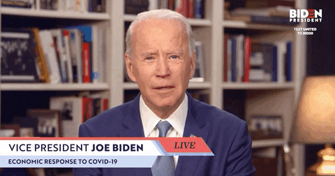 Bernie Sanders GIF