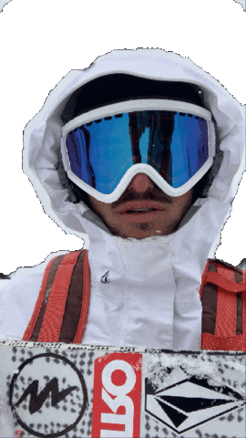 snowboard bergrem Sticker by nitrousa