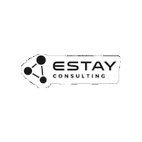 Trending Innovacion Sticker by Estay Consulting
