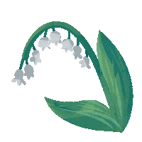Blooming Lily Of The Valley Sticker by zandraart