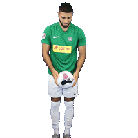 hschannover1893 fussball 1893 regionalliga hschannover Sticker