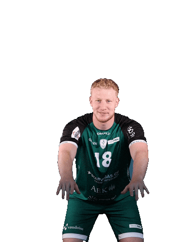 Schwab Sticker by Wacker Thun