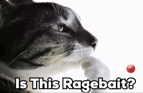 Cat Instagram GIF