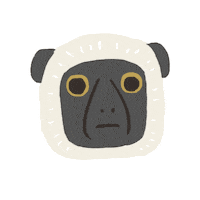 Face Omg Sticker