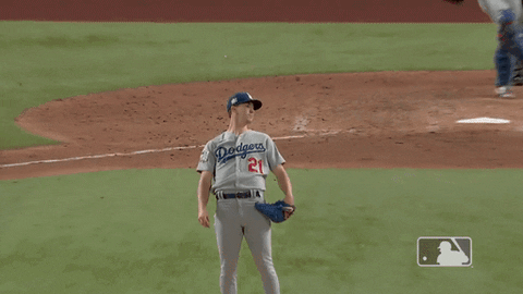Disappointed Major League Baseball GIF by MLB