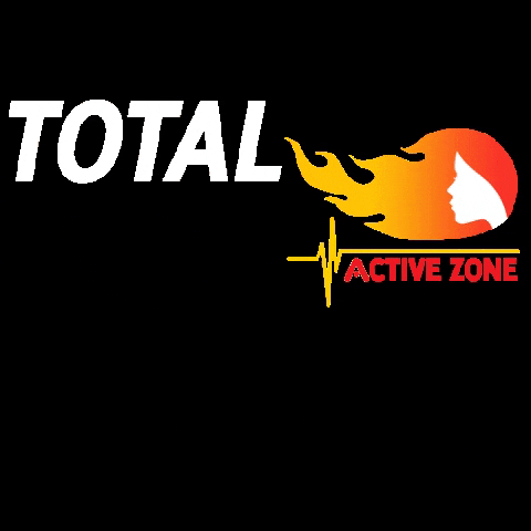 activered activezone activezonesg totalbodyworkout activezonekickboxing GIF