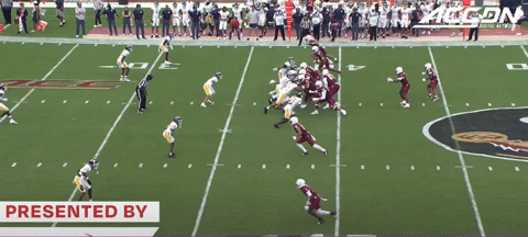 canesport giphyupload GIF