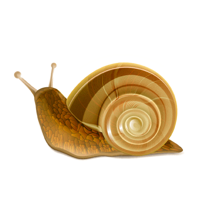 Hollyskin giphyupload snail naturalcosmetics улитка Sticker