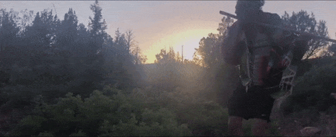 The Sedona Collective GIF by Tiffany