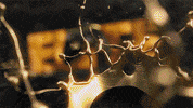 Color Gold GIF by Xbox