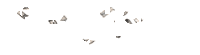 Wealth Club Coin Sticker by Sé el Jefe