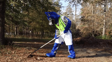 uwg gowest GIF by University of West Georgia