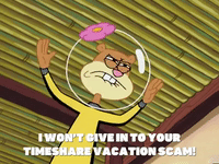 season 4 whale of a birthday GIF by SpongeBob SquarePants