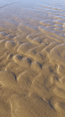 Simongip giphyupload GIF