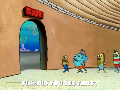 season 6 episode 3 GIF by SpongeBob SquarePants
