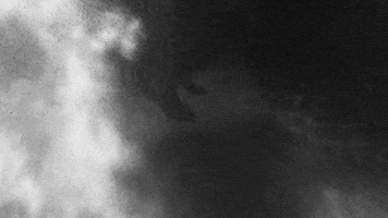 sub pop beach house band GIF by Sub Pop Records