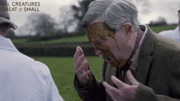 Bad Day In My Eye GIF by All Creatures Great And Small