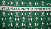 Iwutitans Tgoe GIF by iwusports
