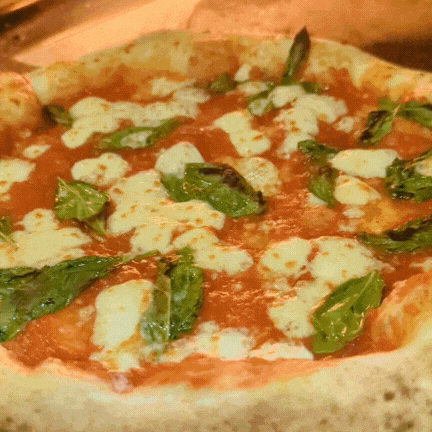 rosierosie giphyupload GIF